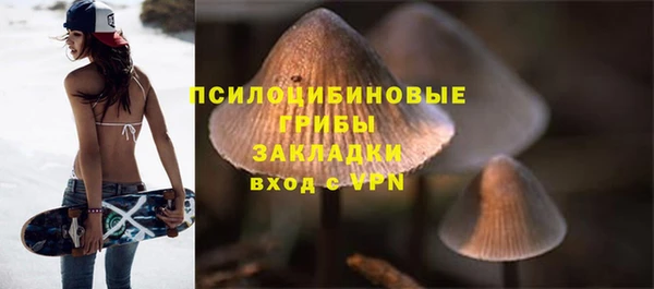 гидра Алзамай