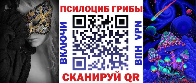 KRAKEN как зайти  закладка  Микунь  darknet какой сайт  Псилоцибиновые грибы GOLDEN TEACHER 